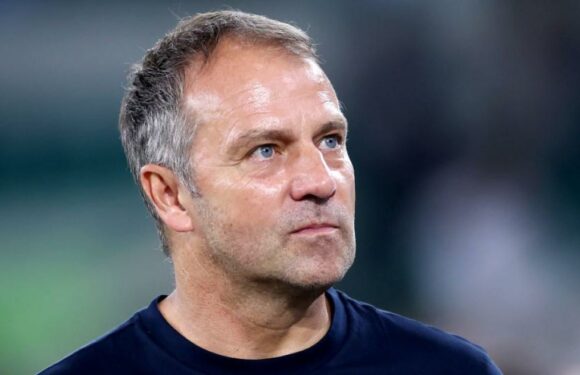 Germany sack manager Hansi Flick just months before they host Euro 2024
