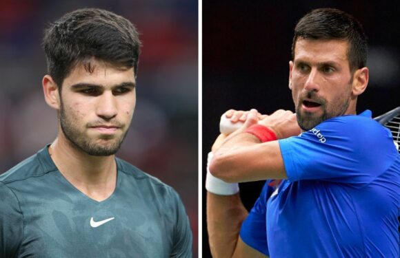 Alcaraz told ‘be careful’ over Djokovic claims as Spaniard has already suffered