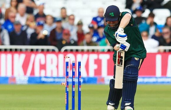 Irish cricketers could end up playing for GB team at 2028 Olympics