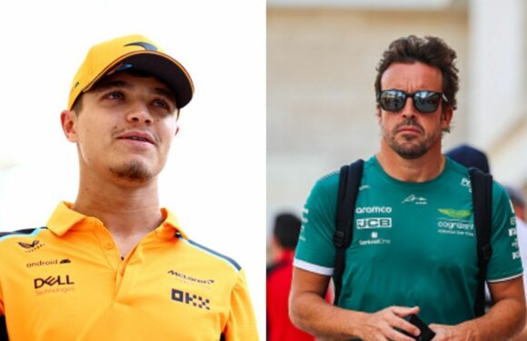 Lando Norris issues scathing response to Fernando Alonso as cheeky jibe made