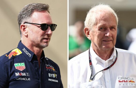 Horner breaks silence on Red Bull ‘power struggle’ rumours after Marko fears