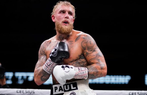 Jake Paul vs Andre August: Undercard in full and ring-walk time