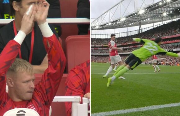 Aaron Ramsdale applauds Arsenal rival David Raya after incredible NLD save