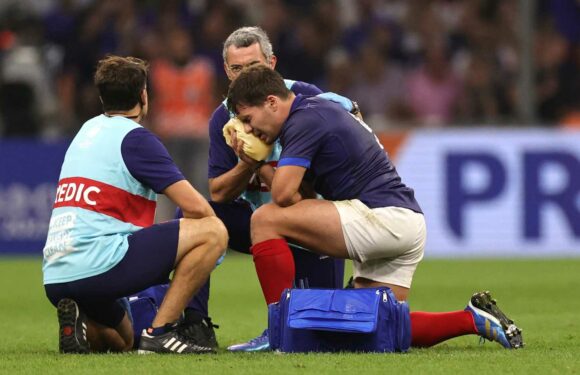 Antoine Dupont returns to France World Cup squad after cheekbone surgery