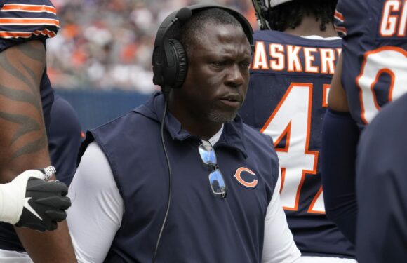 Bears defensive coordinator Alan Williams resigns from position with team