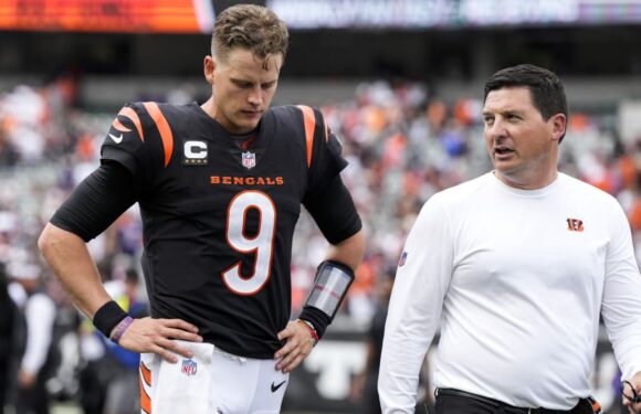 Bengals QB Joe Burrow tweaks calf in Week 2 loss to Ravens