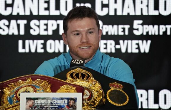 Canelo Alvarez says people claiming he is on the decline are 'stupid'