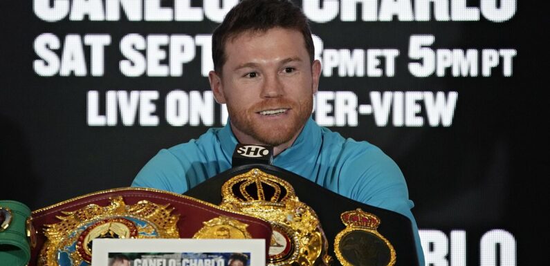 Canelo Alvarez says people claiming he is on the decline are 'stupid'