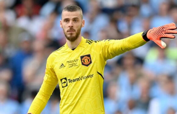 Former Man City boss keen to snap up David De Gea after Man Utd exit