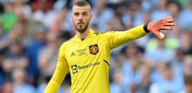 Former Man City boss keen to snap up David De Gea after Man Utd exit