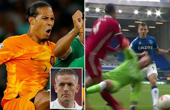 Jordan Pickford 'is responsible for the downfall of Virgil van Dijk'