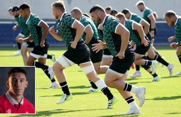 Josh Adams thinks Wales will play 'toughest Fiji team' they've faced