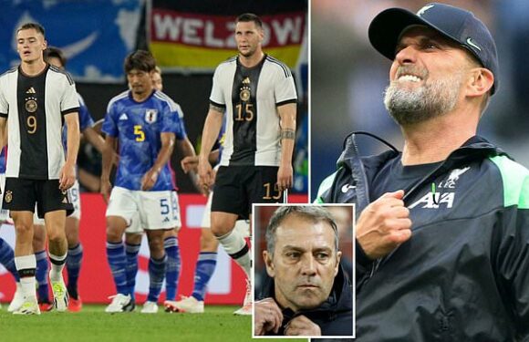 Jurgen Klopp has admirers at Germany after they sacked Hansi Flick