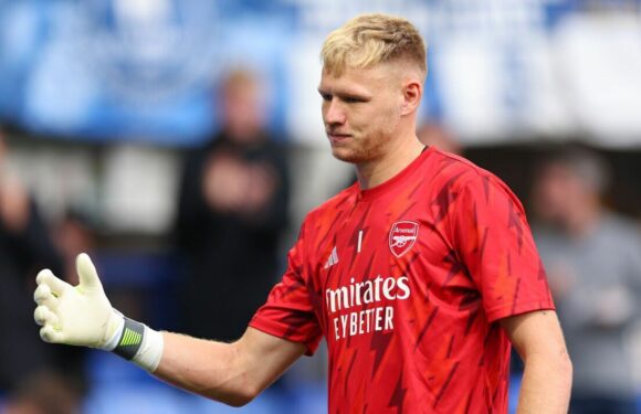 Martin Odegaard shares Arsenal star Aaron Ramsdale’s reaction to being dropped