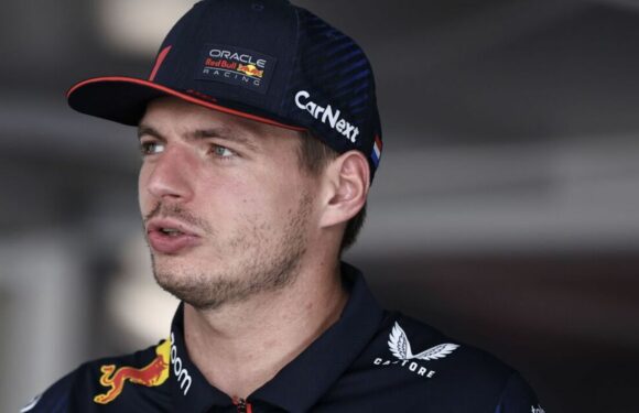 Max Verstappen boldly snubs Mercedes after Japanese GP practice masterclass