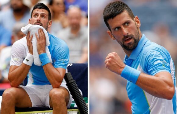 Novak Djokovic cruises past Fritz at US Open despite raising fitness fears