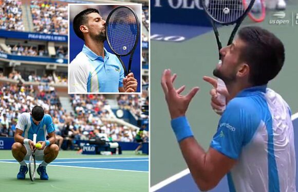 Novak Djokovic loses his cool with fan during US Open quarterfinals