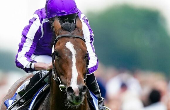 O'Brien can play party pooper by wining the St Leger with Continuous