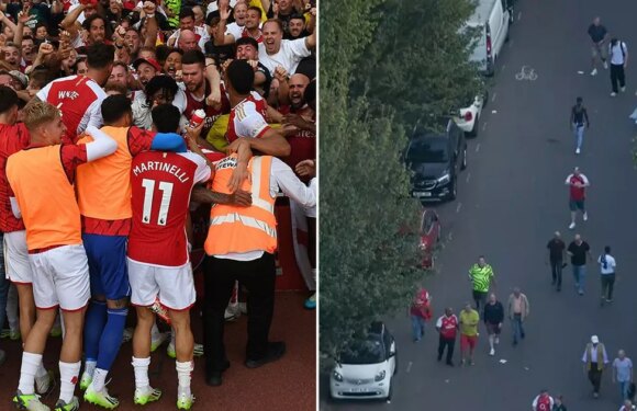 ‘Plastic’ Arsenal fans who left dramatic Man Utd win early ‘should be banned’