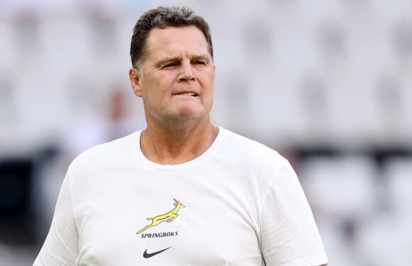 Rassie Erasmus would be a compelling choice for Ireland