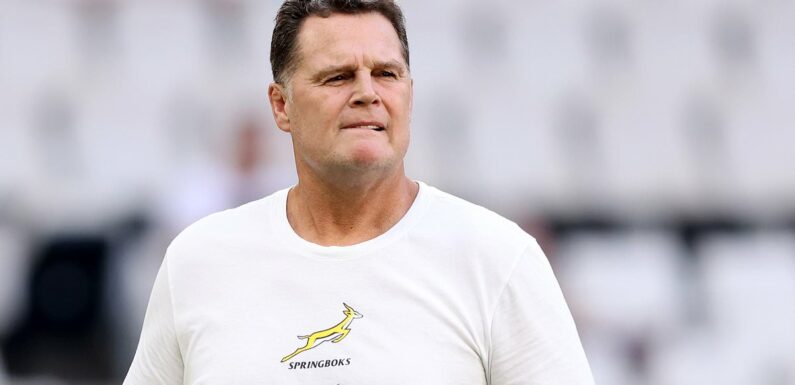 Rassie Erasmus would be a compelling choice for Ireland