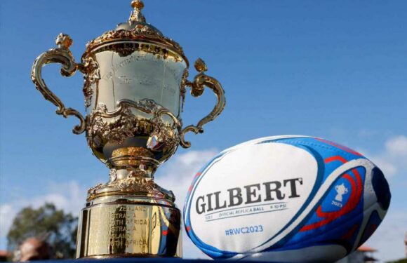 Rugby World Cup predictions: Winner, top try scorer, surprise package and more