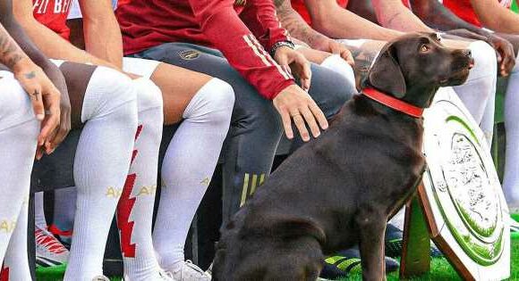 Six famous sporting animals as Arsenal’s dog ‘Win’ proves lucky omen for Gunners