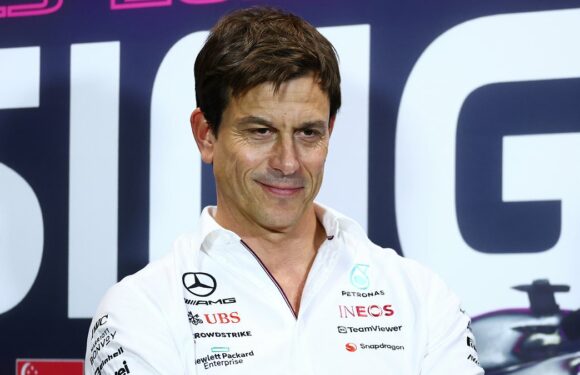 Toto Wolff is given new legal hope over Lewis Hamilton's title agony