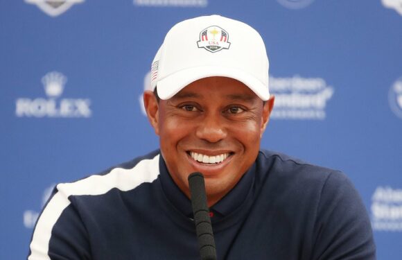 What role will Tiger Woods play at next week's Ryder Cup?