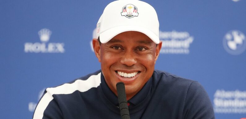 What role will Tiger Woods play at next week's Ryder Cup?