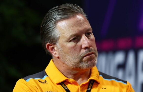 Zak Brown takes brutal swipe at in-form star as new McLaren signing named