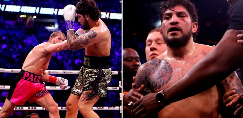 Adult company offers Dillon Danis X-rated $100k job after Logan Paul humiliation