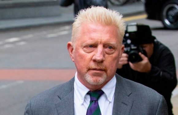 Boris Becker still banned from Wimbledon despite being world No6’s coach