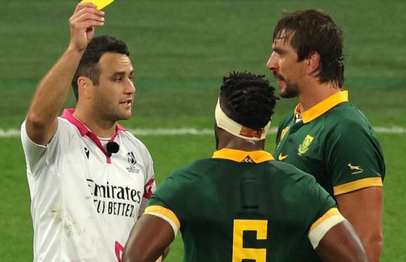 England's Rugby World Cup semi-final to feature controversial referee