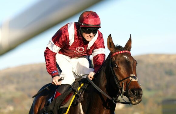 I Like To Move It dies from fatal injury at Uttoxeter as racing fans pay tribute