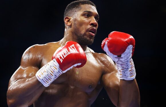 Joshua could face German boxer Kabayel on December 23, says Hearn