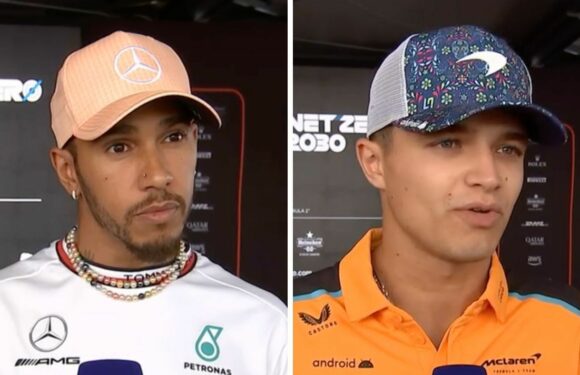 Lando Norris backs Lewis Hamilton plea as FIA told they ‘tainted’ US GP