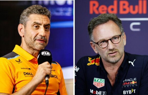 McLaren boss agrees with Christian Horner on Red Bull’s Mercedes suspicion