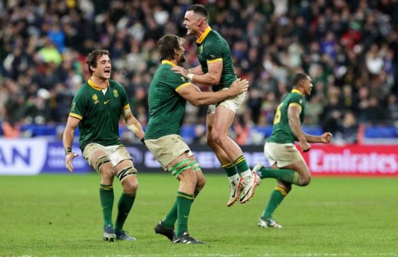 New Zealand v South Africa player ratings: Pieter-Steph du Toit leads Springboks to Rugby World Cup glory