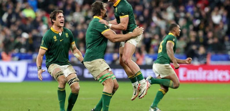 New Zealand v South Africa player ratings: Pieter-Steph du Toit leads Springboks to Rugby World Cup glory