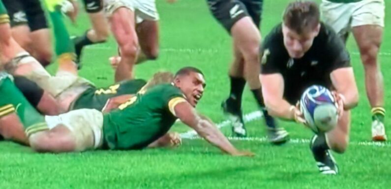 Rugby World Cup viewers split on controversial New Zealand try in final