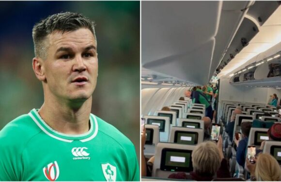 Sexton embarrassed by Ireland team-mates on flight home from Rugby World Cup