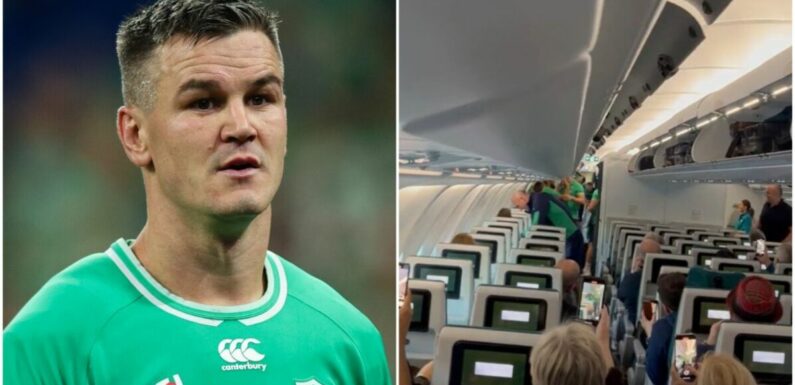 Sexton embarrassed by Ireland team-mates on flight home from Rugby World Cup