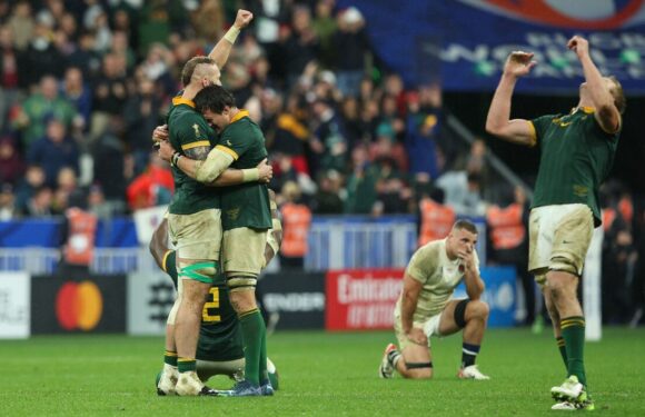 South Africa and England accused of being ‘bad for rugby’ after World Cup bout