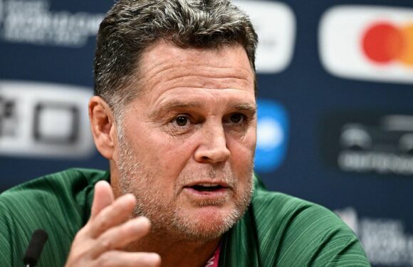 South Africa chief Rassie Erasmus suggests France 'simulate'