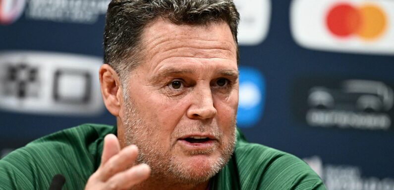 South Africa chief Rassie Erasmus suggests France 'simulate'