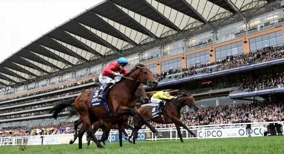 Tipster who fired in 50-1 NAP has four secrets for big winners on Champions Day