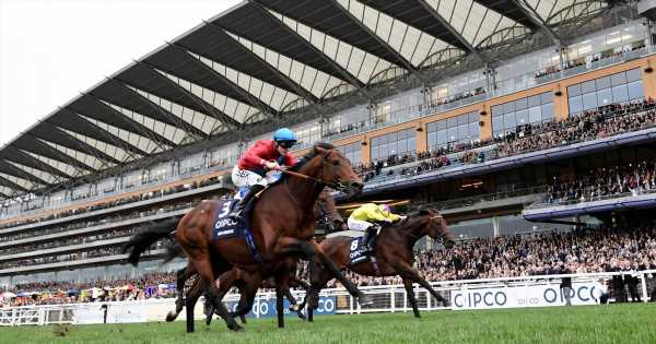 Tipster who fired in 50-1 NAP has four secrets for big winners on Champions Day