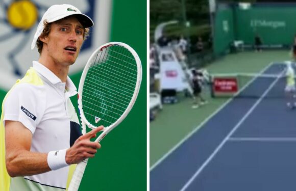 What tennis stars have said about player kicked out for smashing ball at umpire