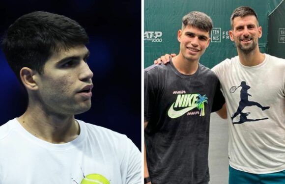 Alcaraz concedes to Djokovic as he shares rare insight into Serb’s training